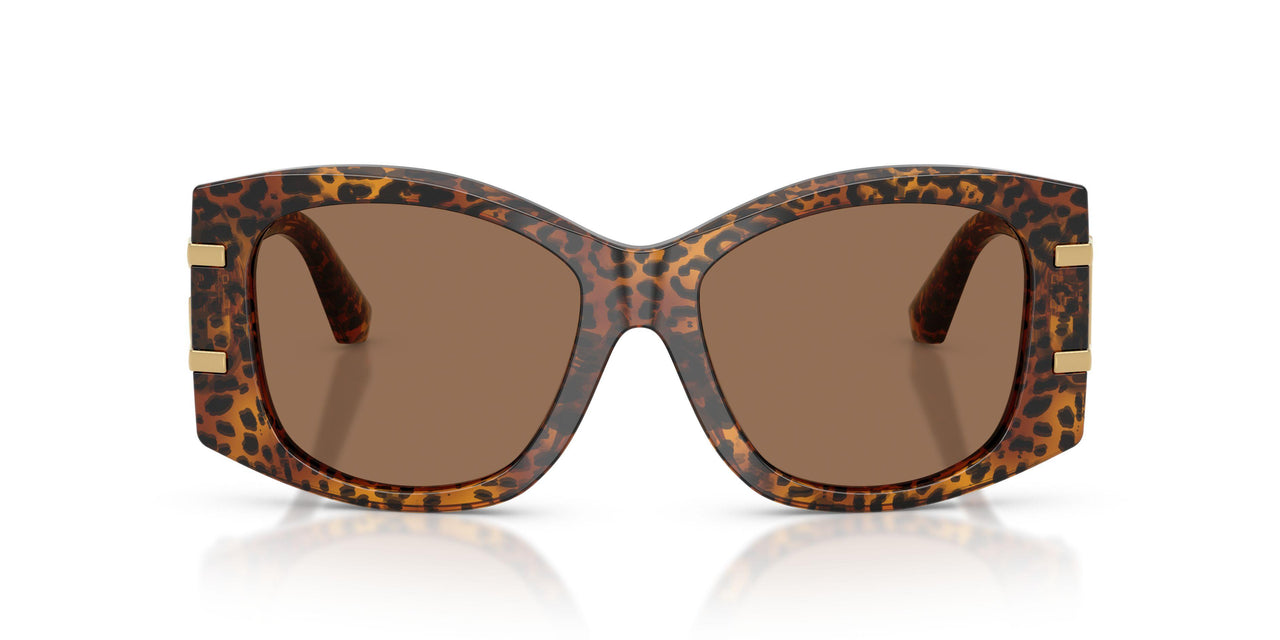 347073 - Brown - Dark Brown
