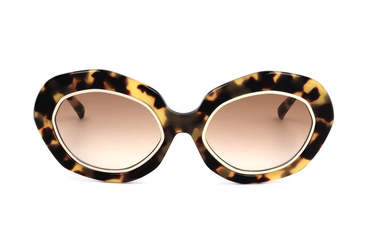 C4 - TORTOISESHELL