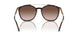502613 - Tortoise - Gradient Brown