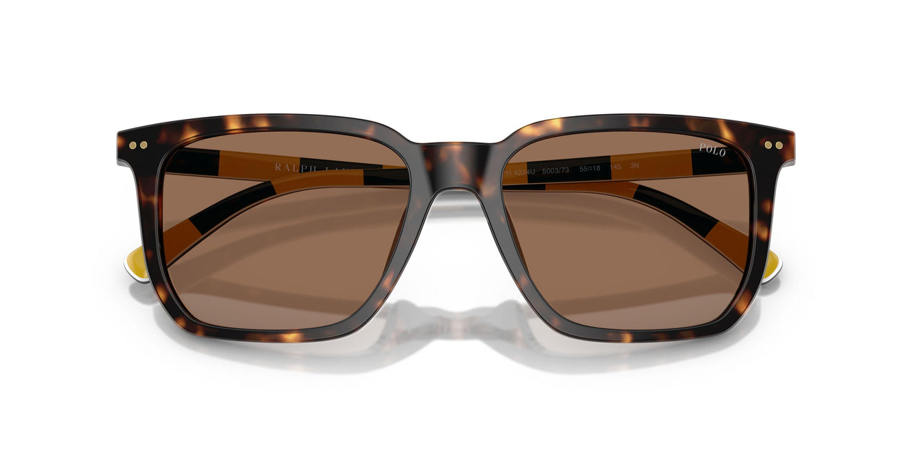 500373 - Tortoise - Dark Brown