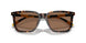 500373 - Tortoise - Dark Brown