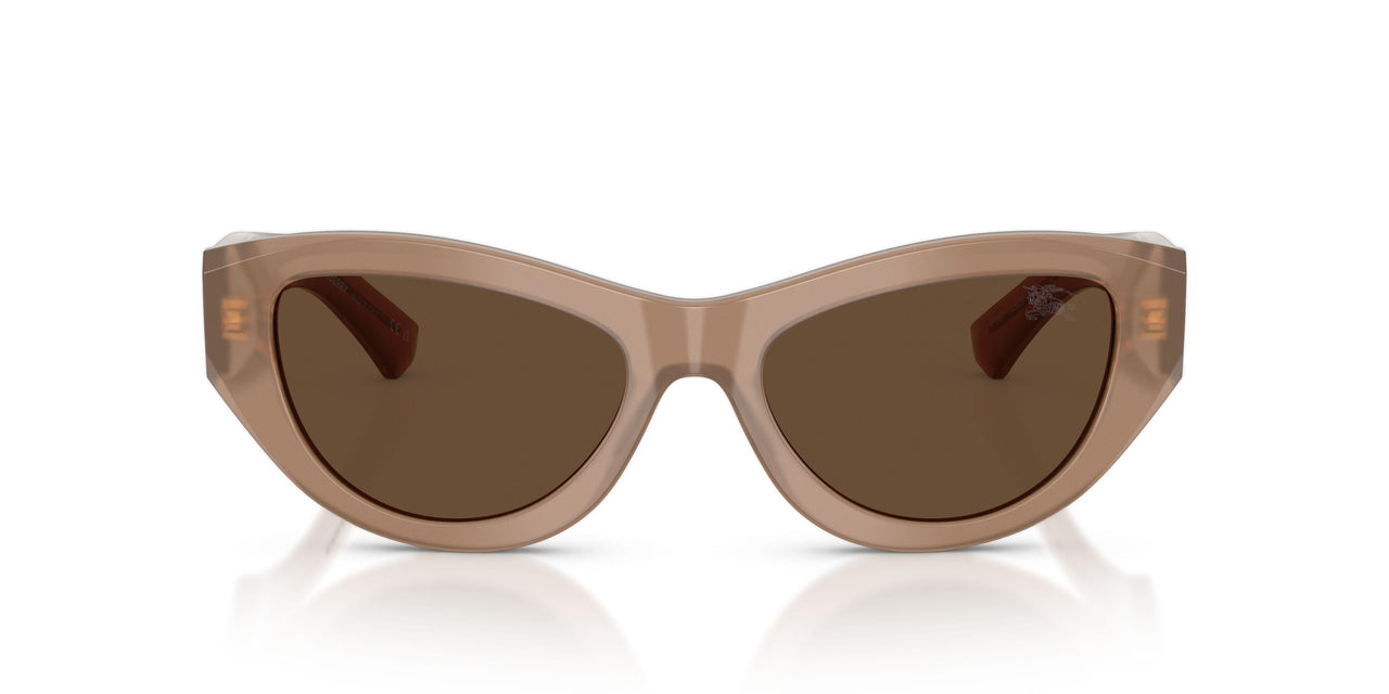 425873 - Beige - Dark Brown