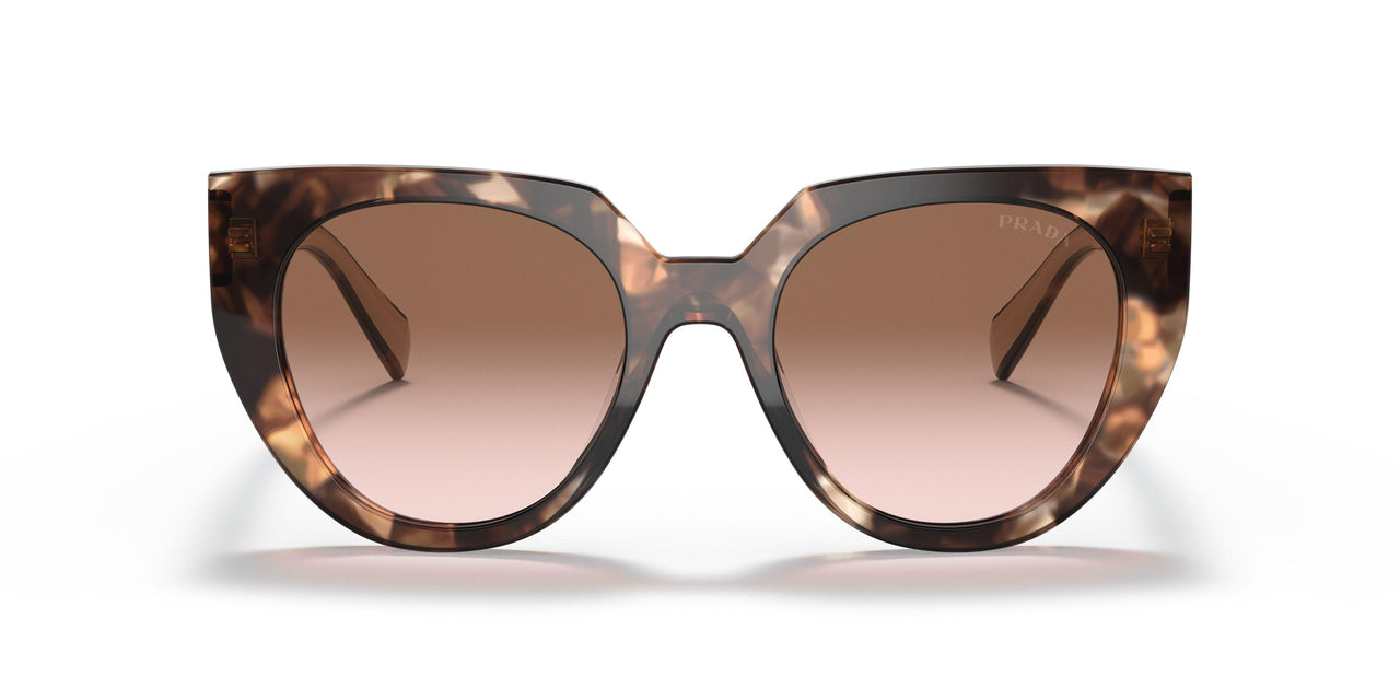 01R0A6 - Havana - Brown Gradient