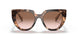 01R0A6 - Havana - Brown Gradient