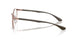 2943 - Copper - Demo Bio