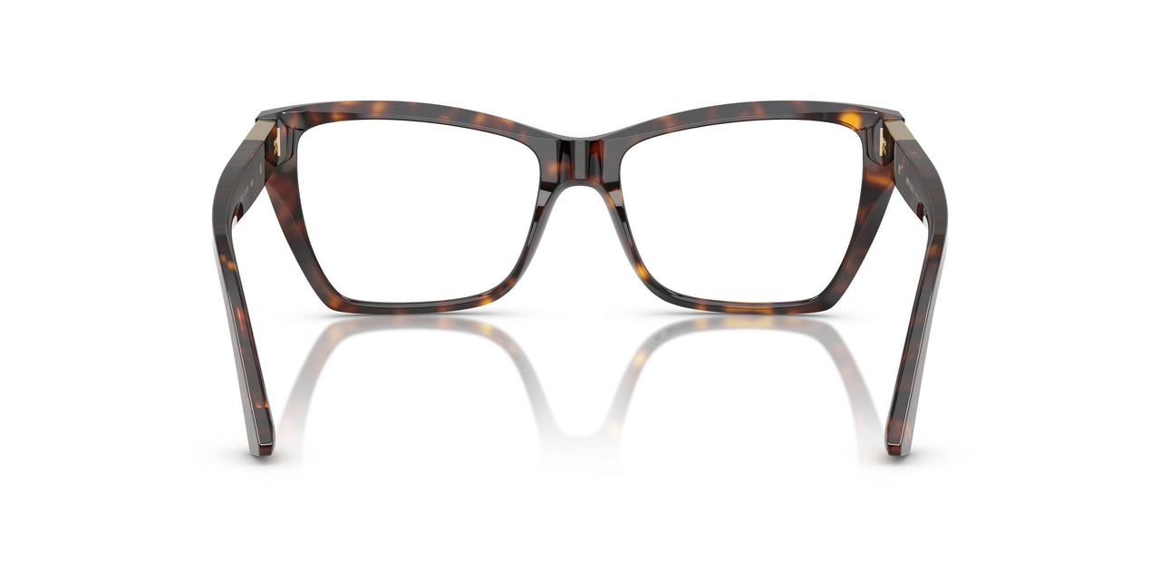 5002 - Tortoise