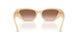 624513 - Pink - Gradient Brown