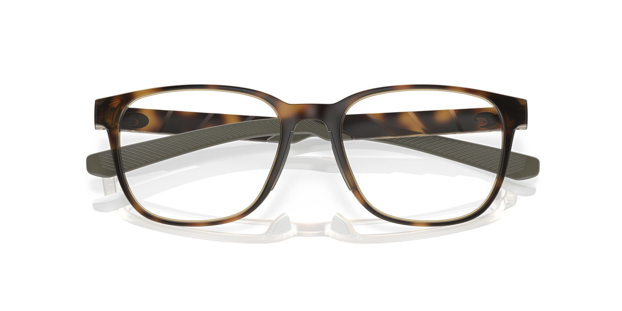 802202 - Tortoise