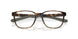 802202 - Tortoise