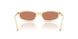 21D90Q - White - Brown