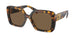 VAU06B - Tortoise - Dark Brown