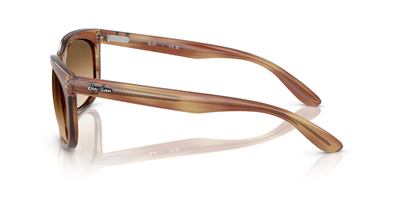 140351 - Tortoise - Clear Gradient Brown