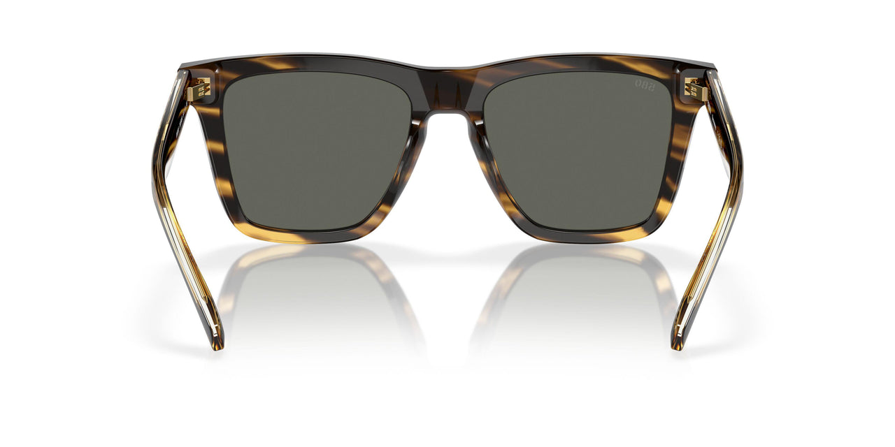 201504 - Tortoise - Gray