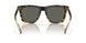 201504 - Tortoise - Gray