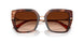 322274 - Tortoise - Brown Gradient