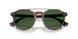 623371 - Tortoise - Bottle Green