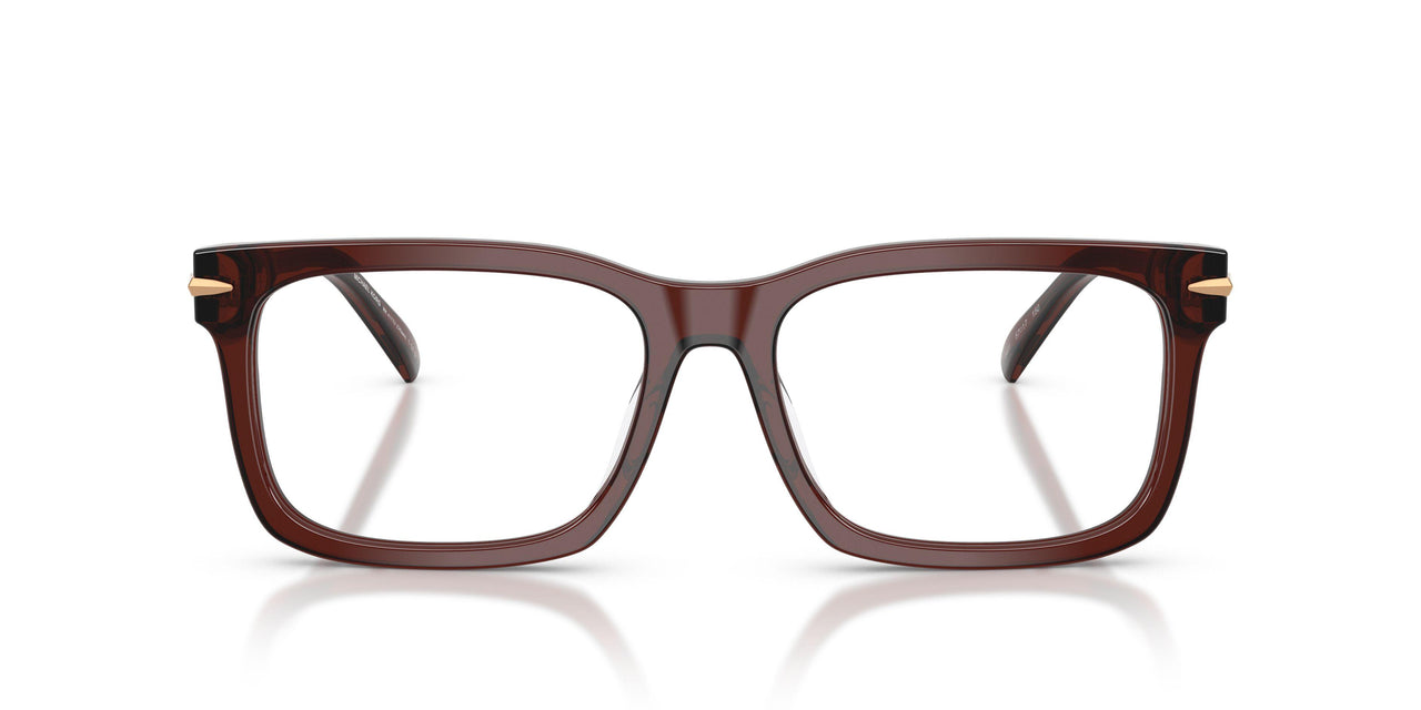 3401 - Brown