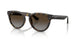 Ray-Ban 2237 Sunglasses