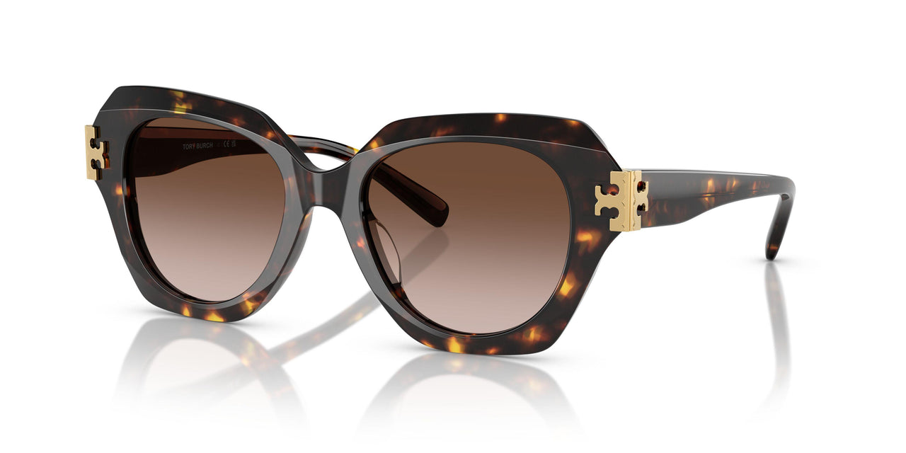 201613 - Tortoise - Brown Gradient