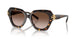 201613 - Tortoise - Brown Gradient