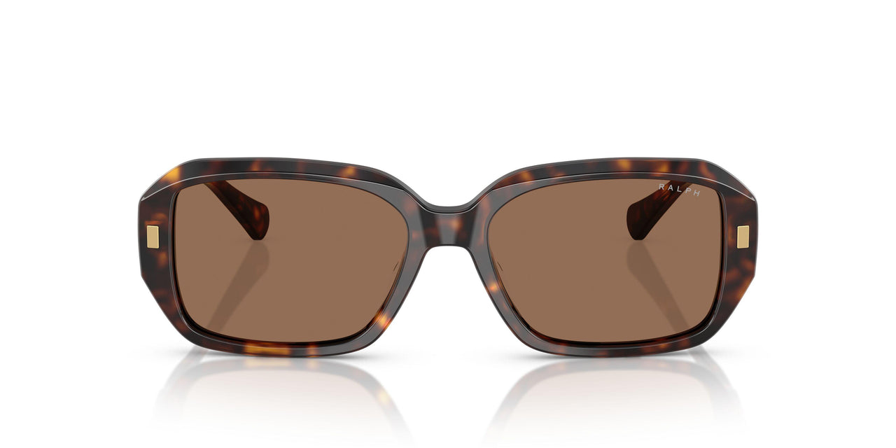 500373 - Tortoise - Brown