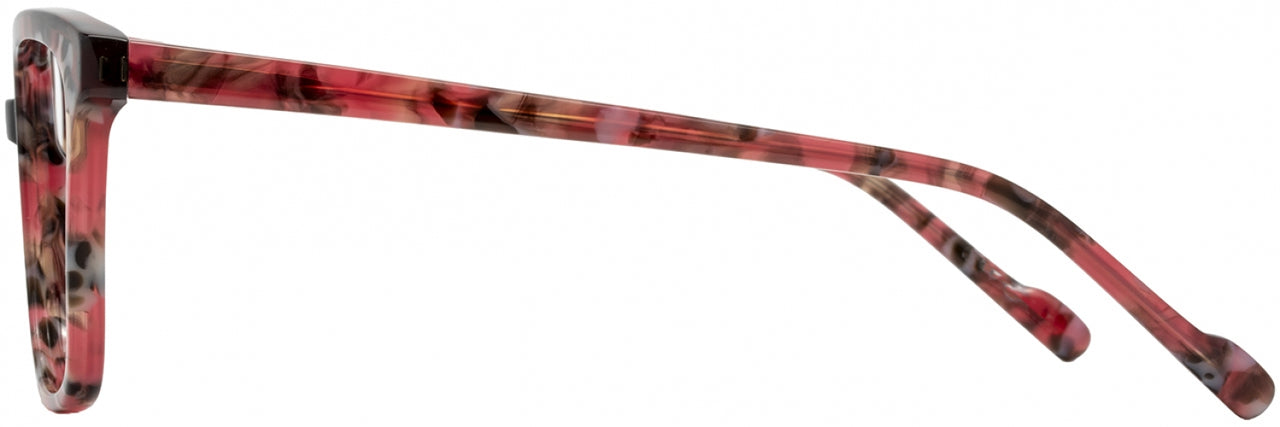 2 - Blush Tortoise
