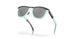 928403 - Grey - Prizm Black