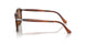 115733 - Multi - Brown