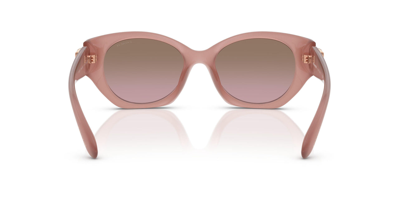 583914 - Pink - Brown Rose Gradient