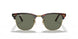 990/58 - Red Havana - Crystal Green Polarized