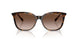821313 - Tortoise - Brown Gradient Dark Brown