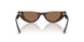 500273 - Tortoise - Dark Brown