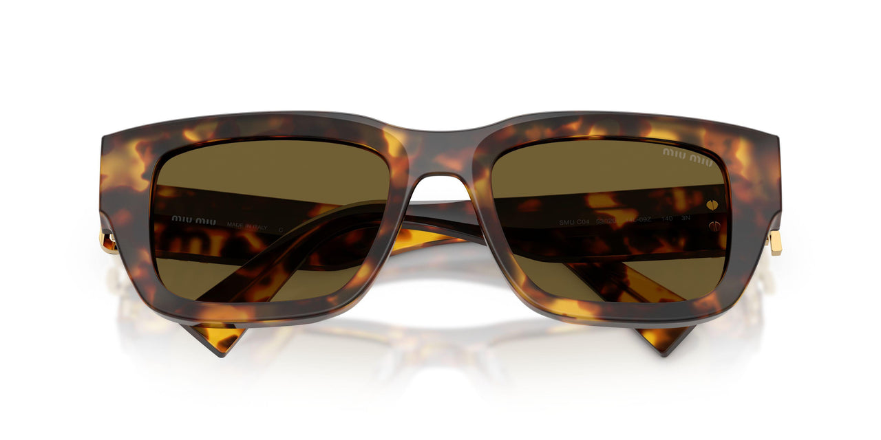 14L09Z - Tortoise - Dark Brown