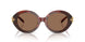 201173 - Tortoise - Dark Brown