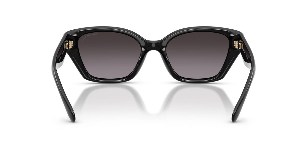 5002F4 - Black - Grey Gradient Polar