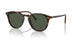 17249A - Brown - Green Polarized