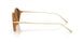 341873 - Gold - Brown
