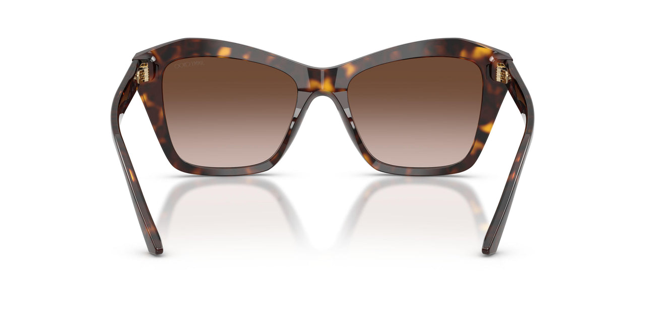 500213 - Tortoise - Brown Gradient