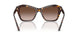 500213 - Tortoise - Brown Gradient