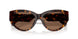 502/73 - Tortoise - Dark Brown