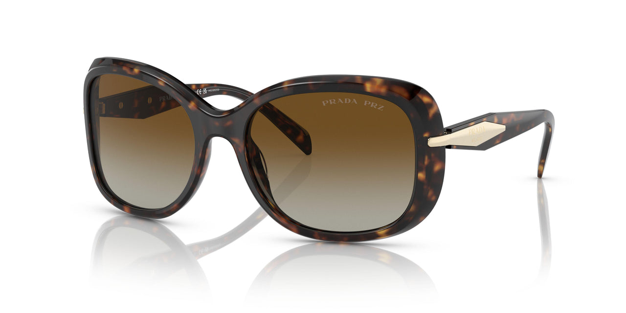 2AU6E1 - Havana - Polar Brown Gradient