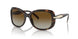 2AU6E1 - Havana - Polar Brown Gradient
