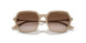 834213 - Brown - Gradient Brown