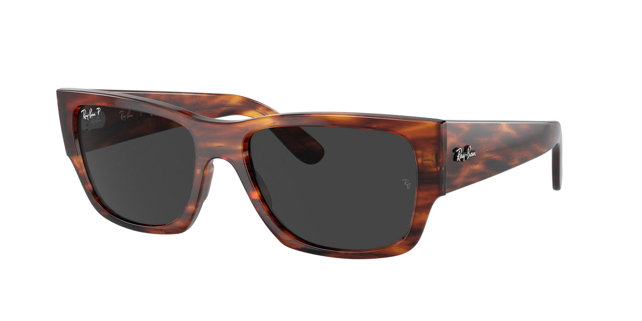 Ray-Ban Carlos 0947SF Sunglasses