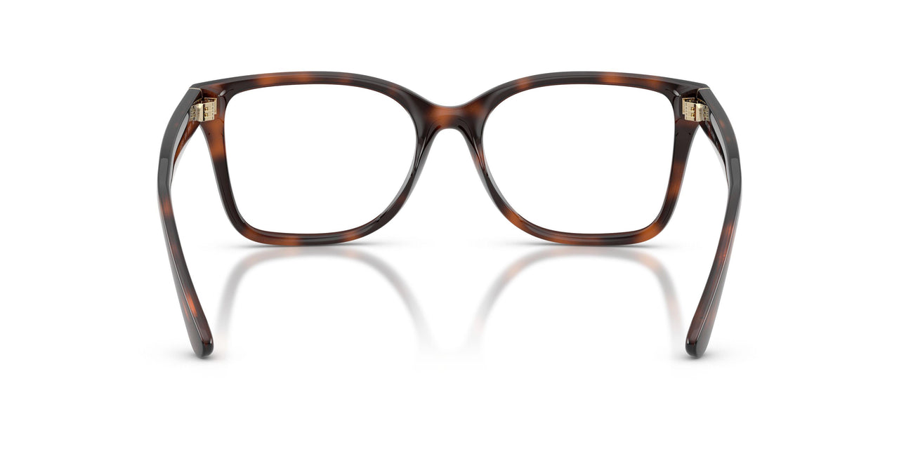 6241 - Tortoise