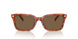 577473 - Tortoise - Brown Solid