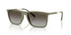 838113 - Green - Gradient Brown