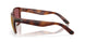 912606 - Tortoise - Gold Mirror