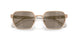 10145A - Gold - Brown