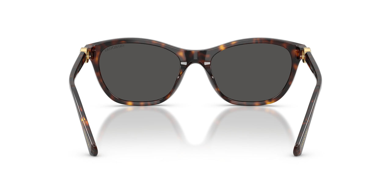 100287 - Tortoise - Dark Grey